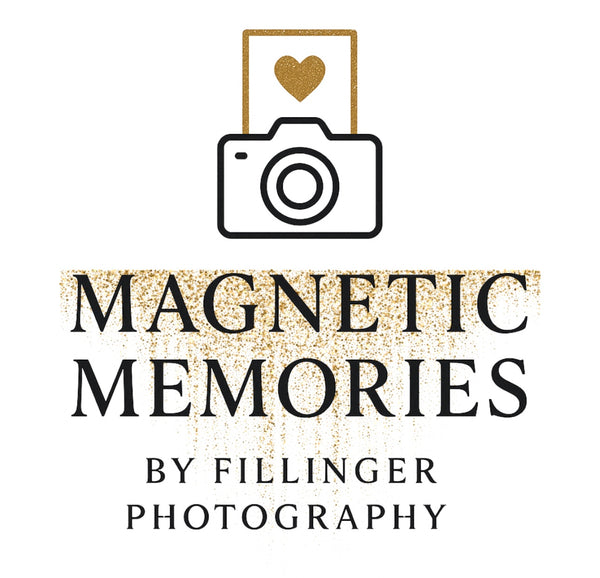 Magnetic Memories